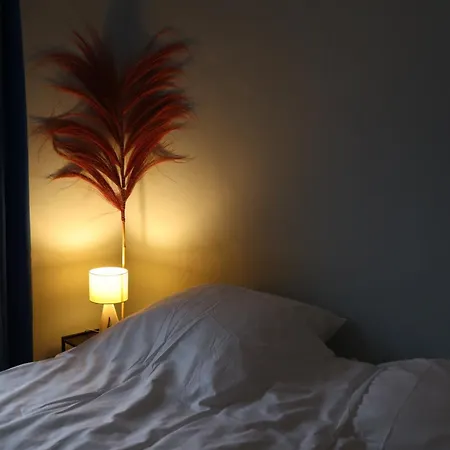 Blauwe Nebula Alloggio in famiglia Tilburg